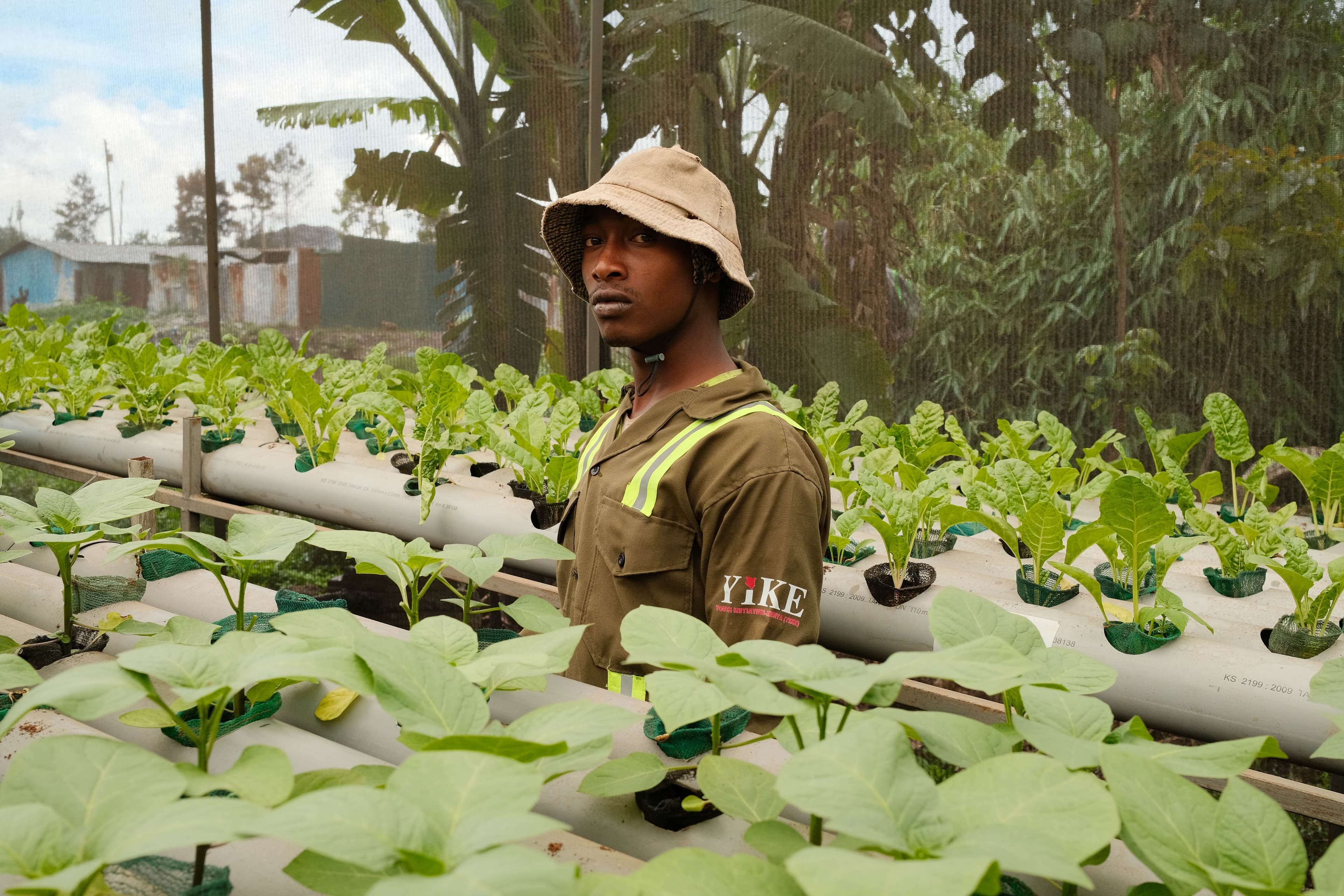 Youth in hydroponic farming