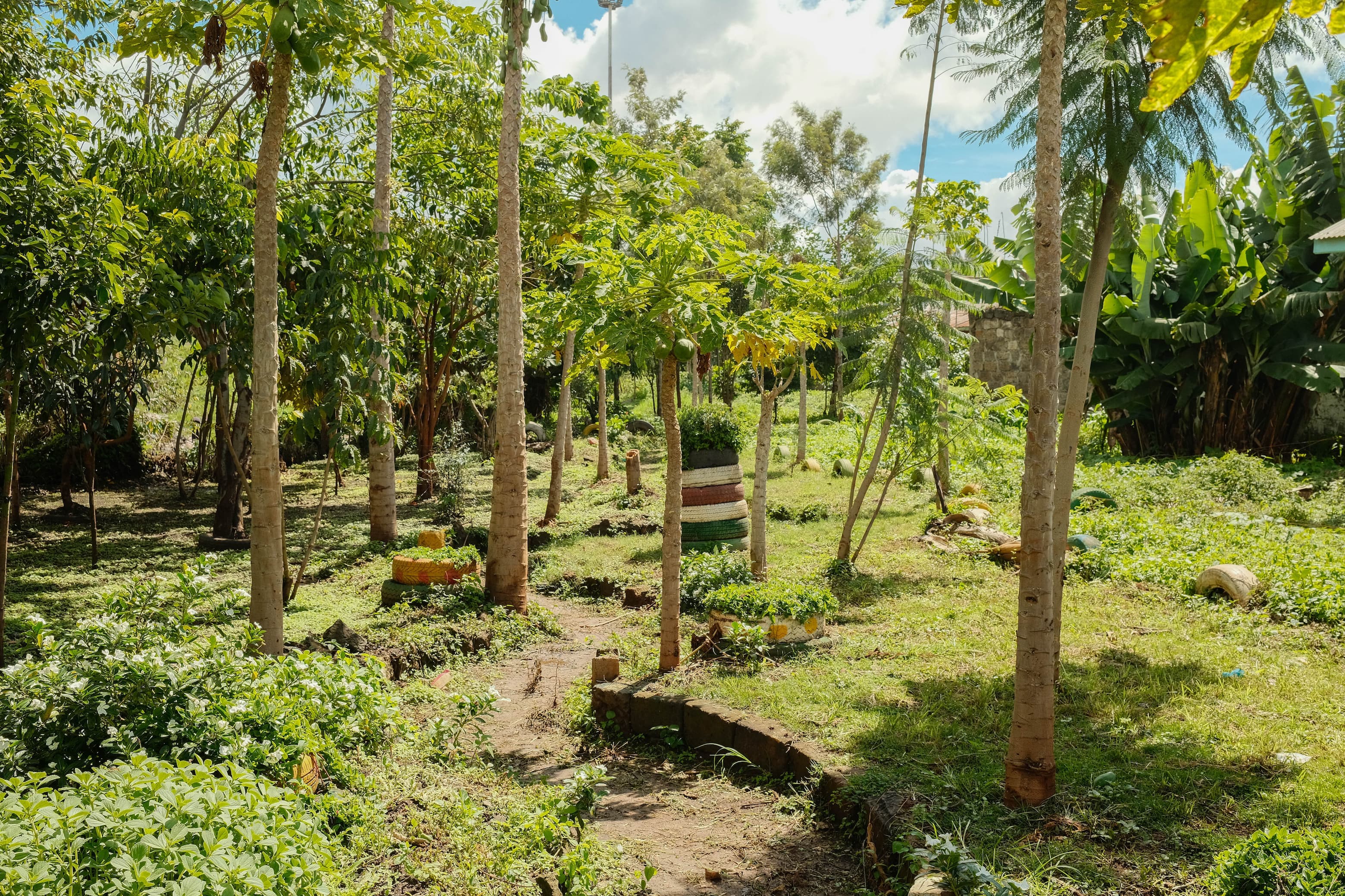 Community green space